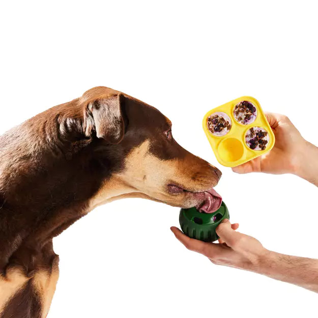 Moule pour Pupsicle Woof Party