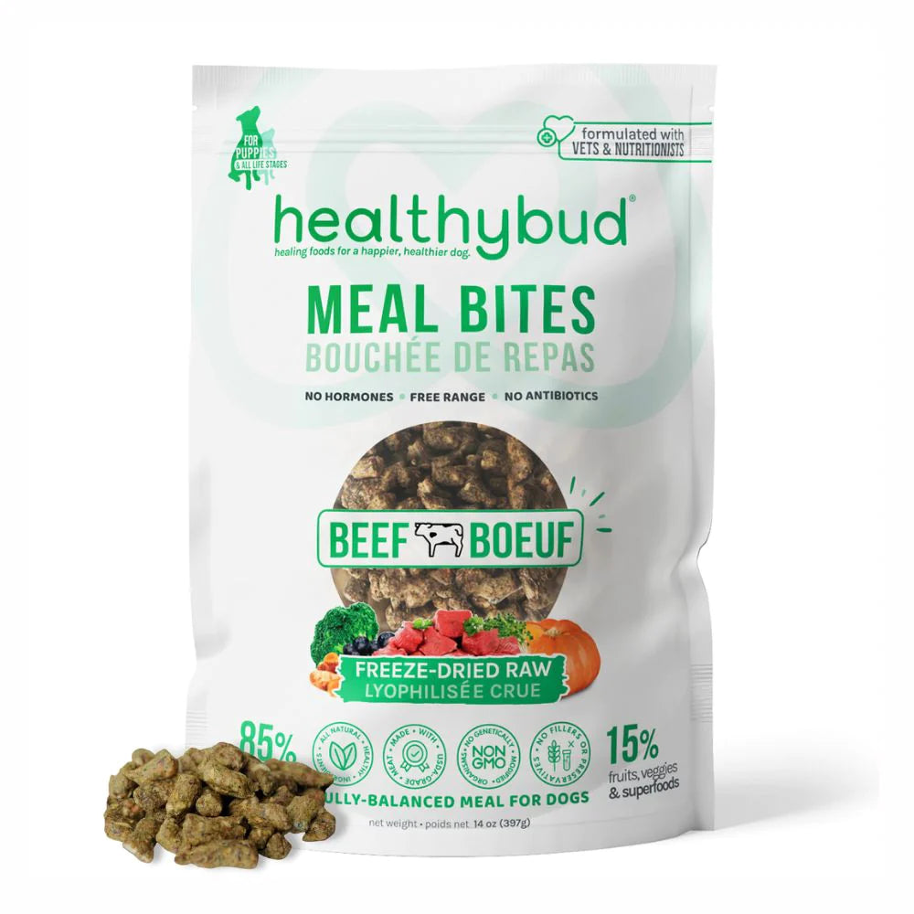 Bouchées de boeuf lyophilisées - Healthybud