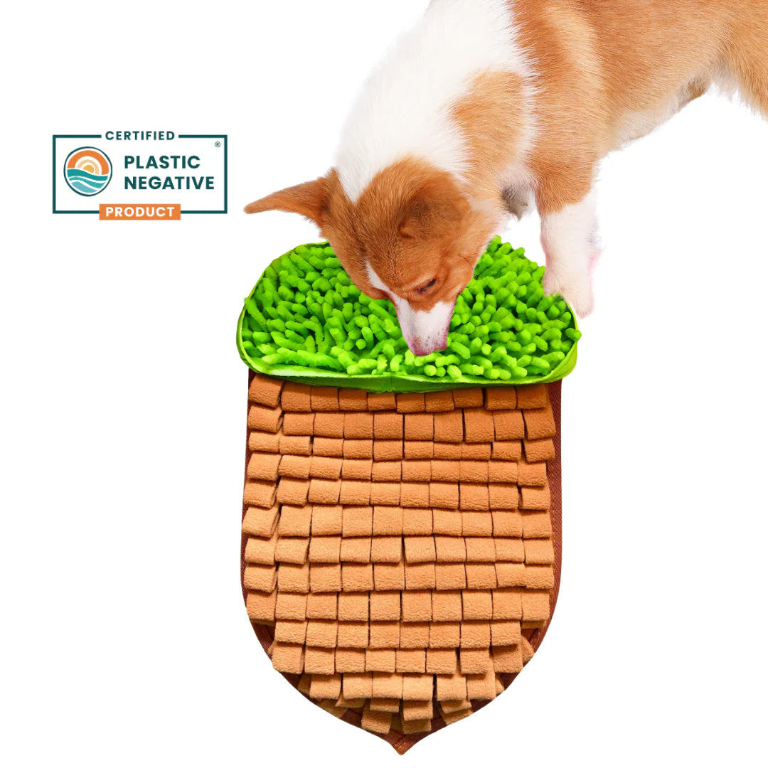 Tapis de fouille noix - PawzNdogz