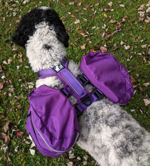 Sac à dos expédition