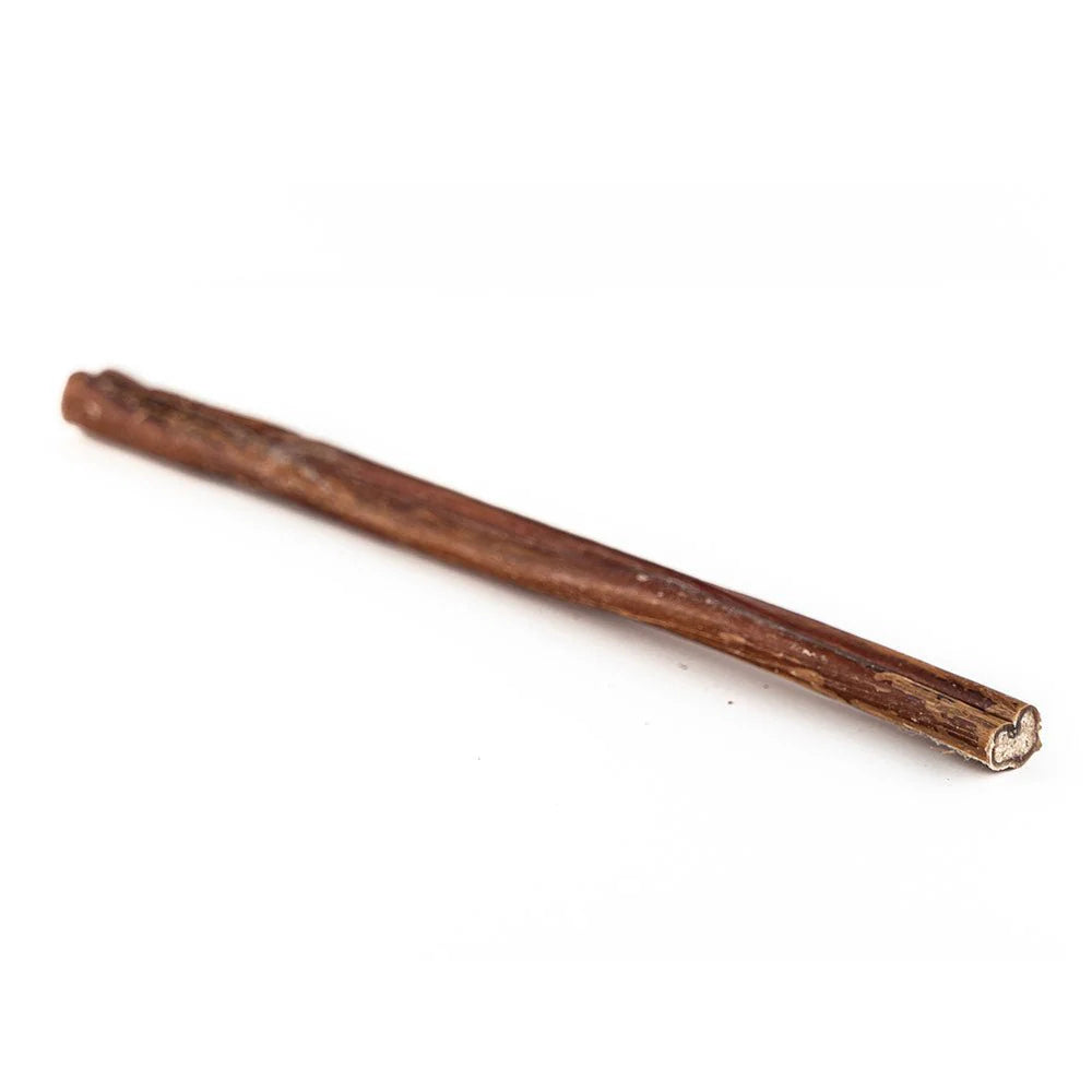Paquet économique - Bully stick 12'' (10)