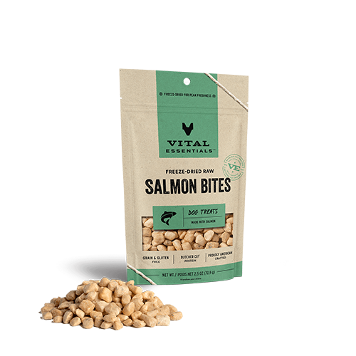 Bouchées de saumon lyophilisées - Vital Essentials