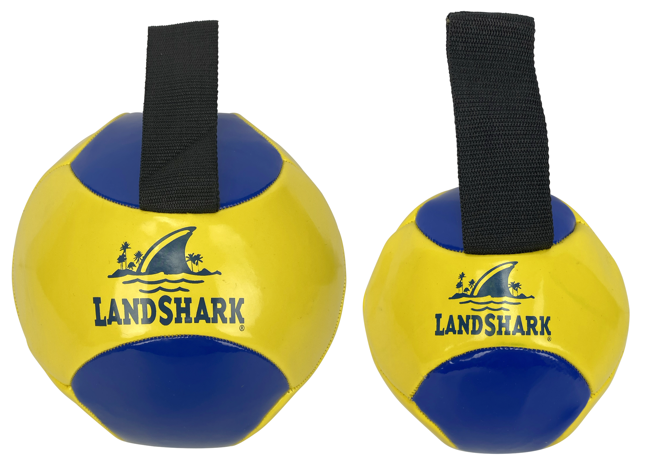 Ballon de volley ball - Landshark