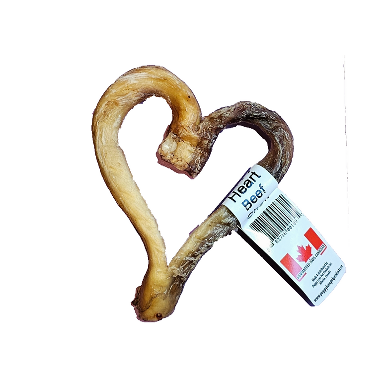 Bully stick en coeur - Puppy Love