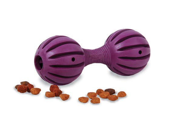 Petit distributeur Waggle - Busy Buddy