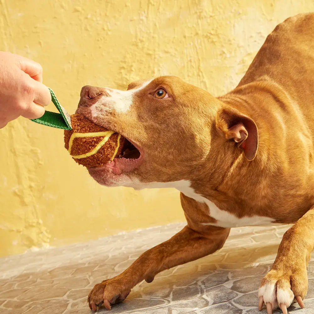 Tug boulette de viande parfumée - Bark