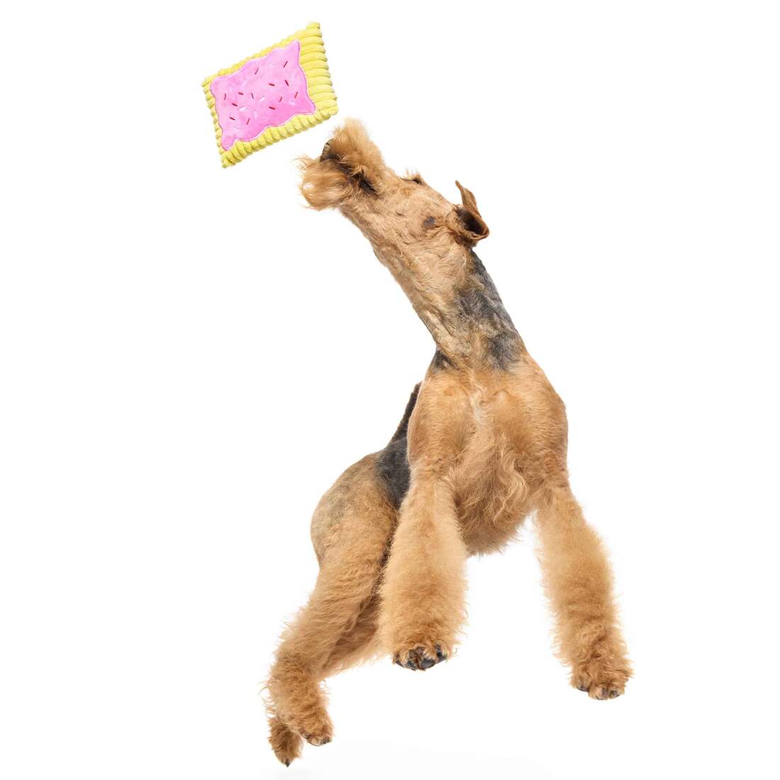 Peluche toaster strudel - Bark