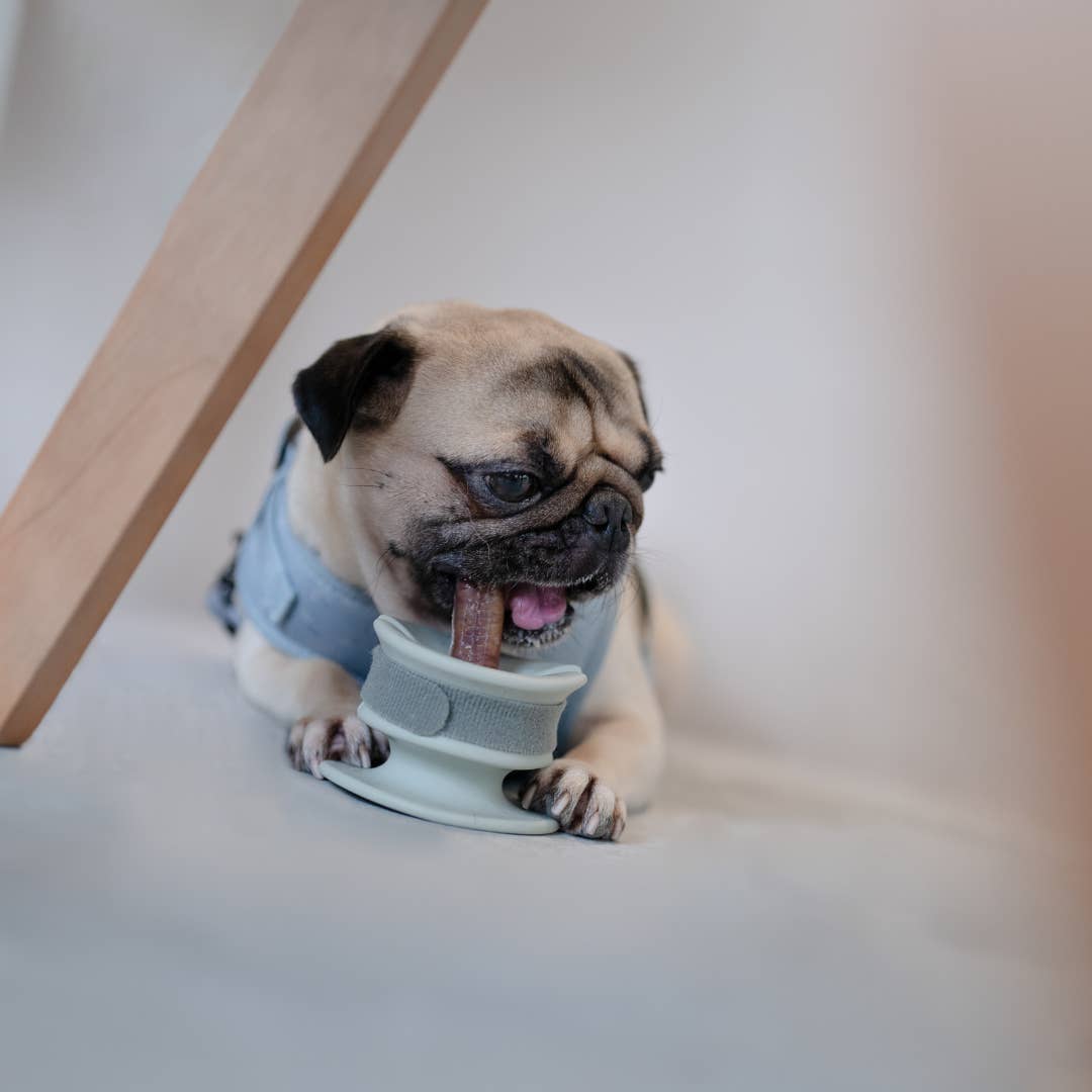 Grip - Support pour mastication