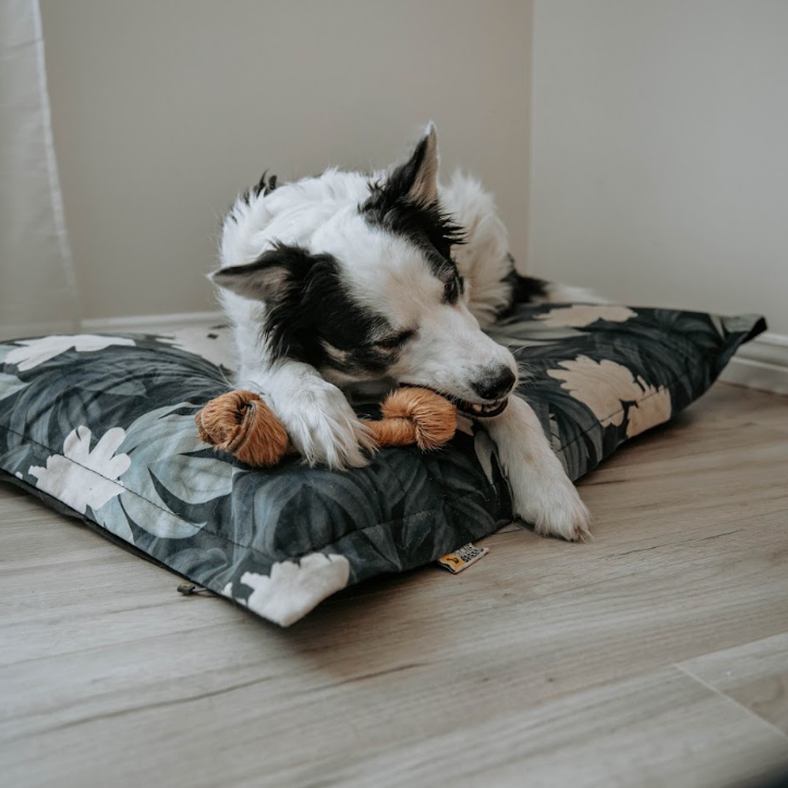 Os de peau de boeuf 12 " avec fourrure - Vrac pour chien