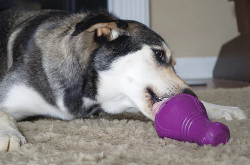 Distributeur Squeak n Treat Booya - Busy Buddy