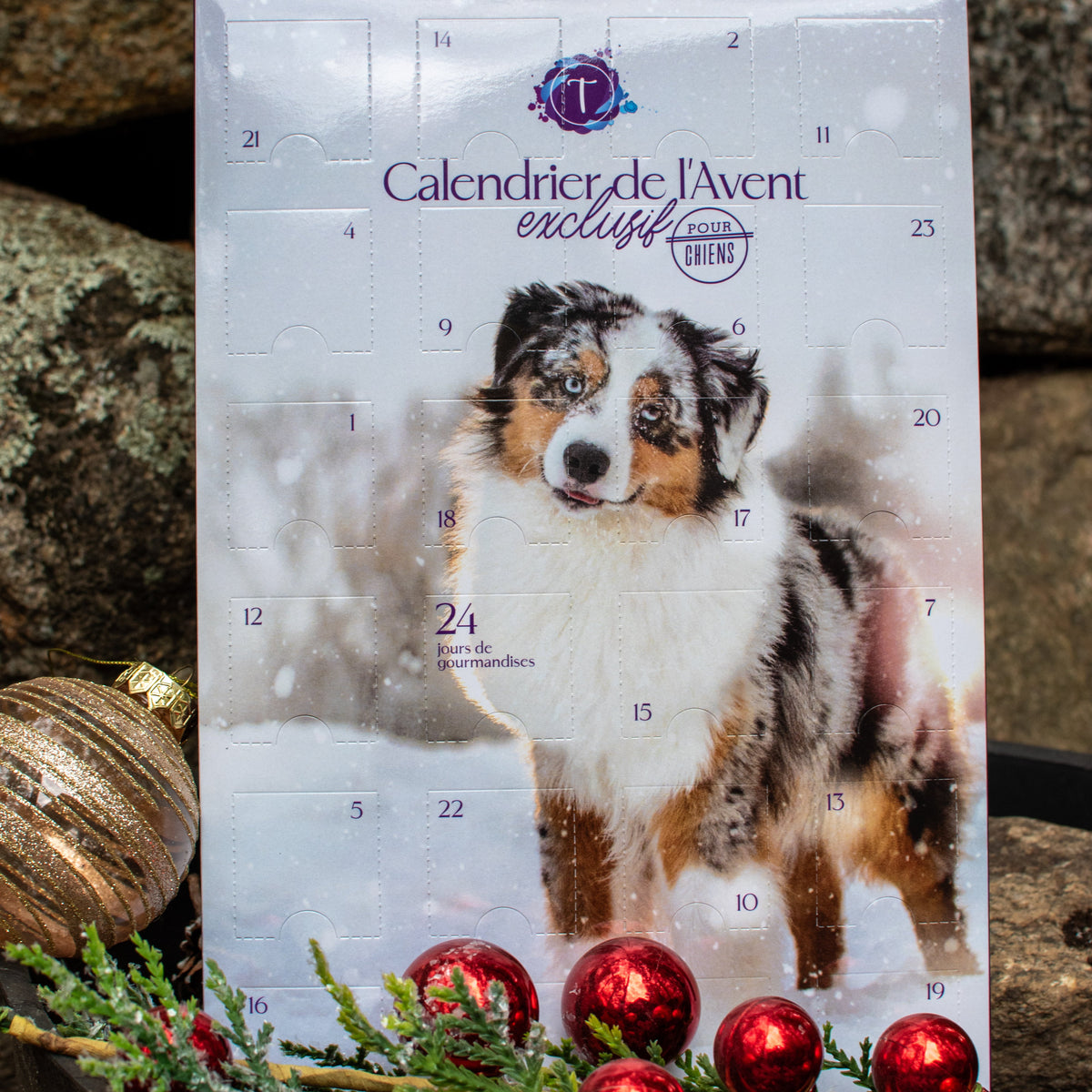 Calendrier de l'avent exclusif Thunder's Treasures (PRĂVENTE)