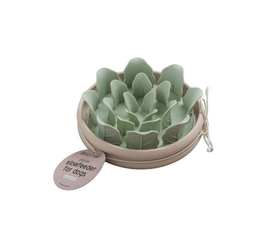 Bol ralentisseur en silicone laitue - Dexypaws