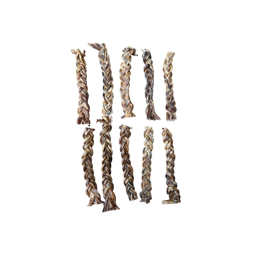 Paquet économique - Pizzle de porc tressé 8-10" (10) - Vrac pour chien