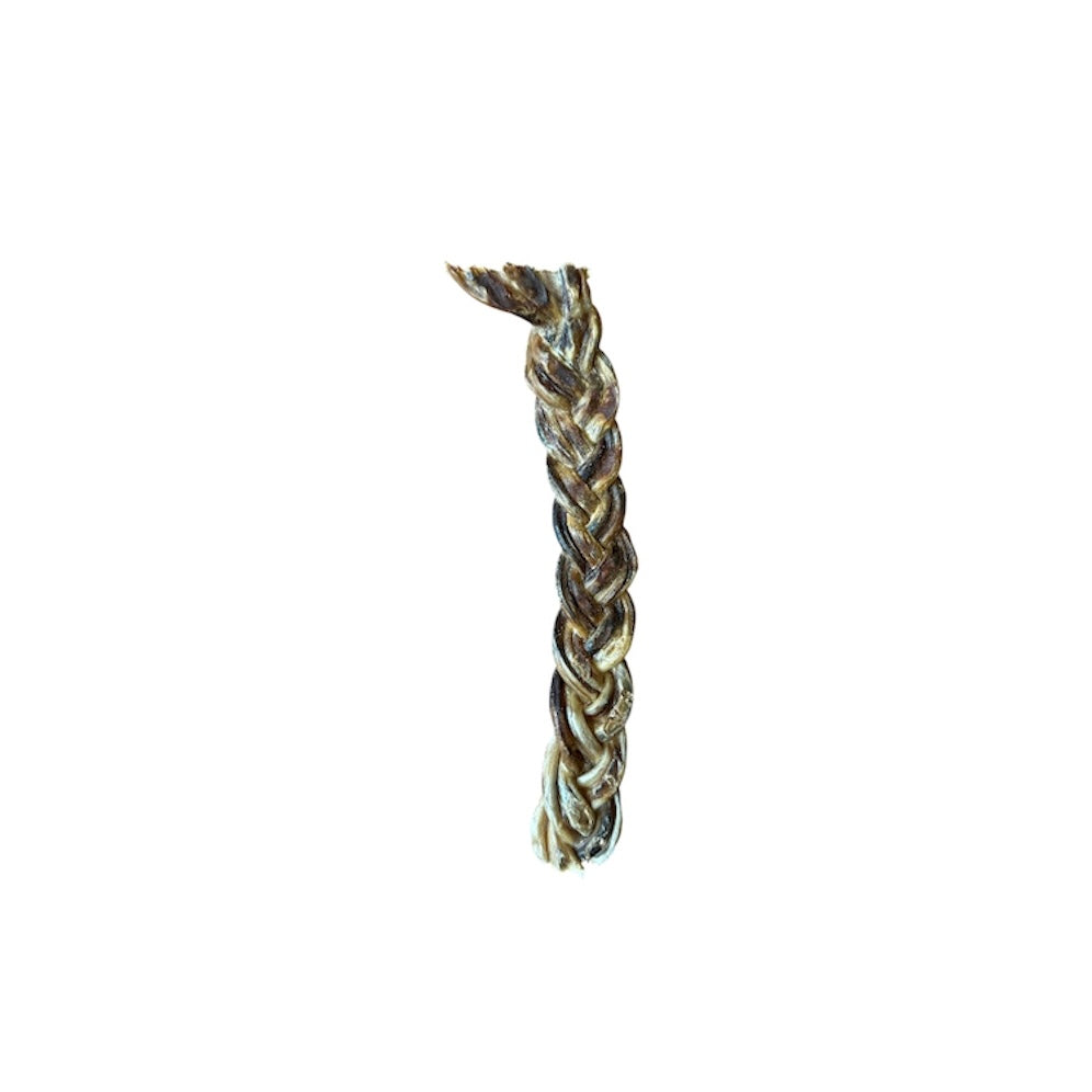 Pizzle de porc tressé 8-10" - Vrac pour chien