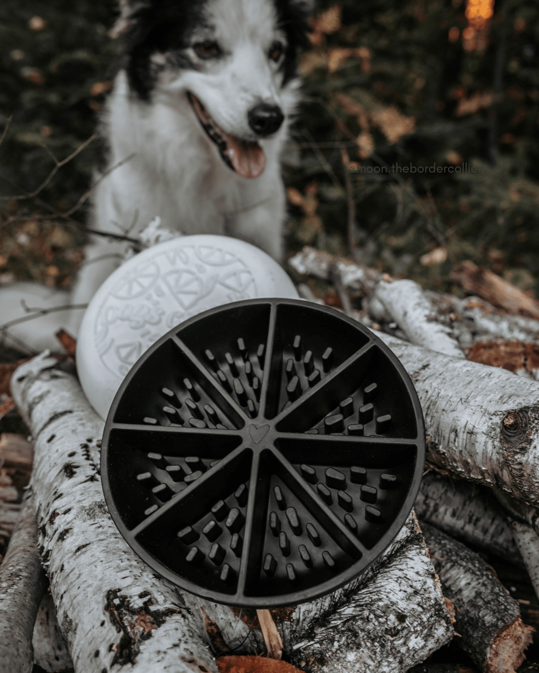 Bol interactif Dog's Crush CENDRE - Agrume