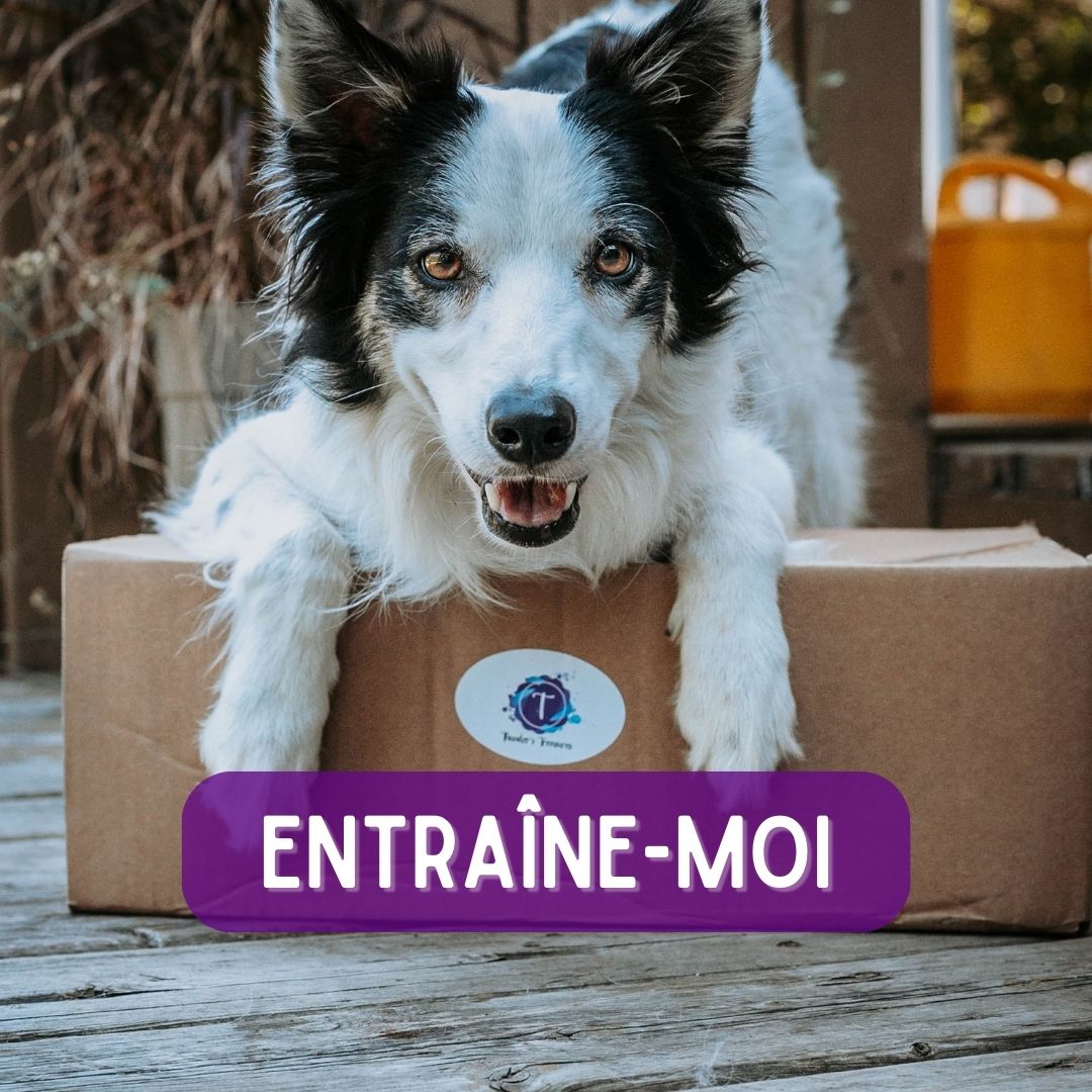 Entraîne-moi
