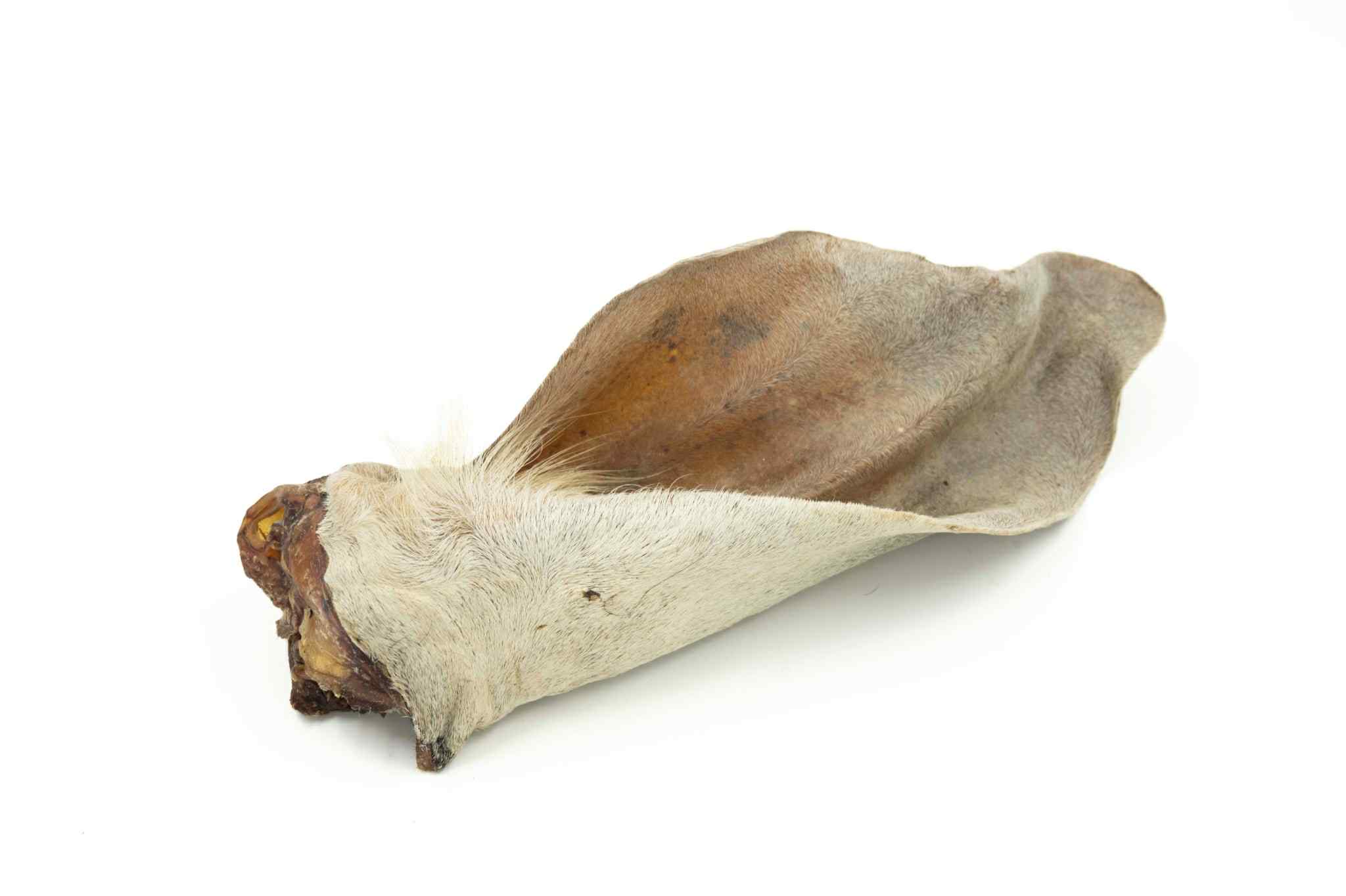 Paquet économique - Oreille de boeuf géante avec fourrure (10) - Vrac pour chien