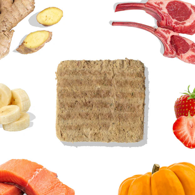 Galettes de saumon et agneau lyophilisées - Healthybud