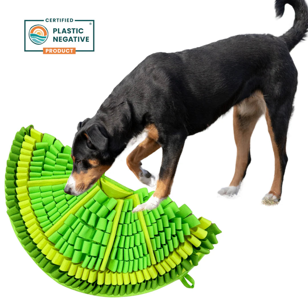 Tapis de fouille zesty lime - PawzNdogz