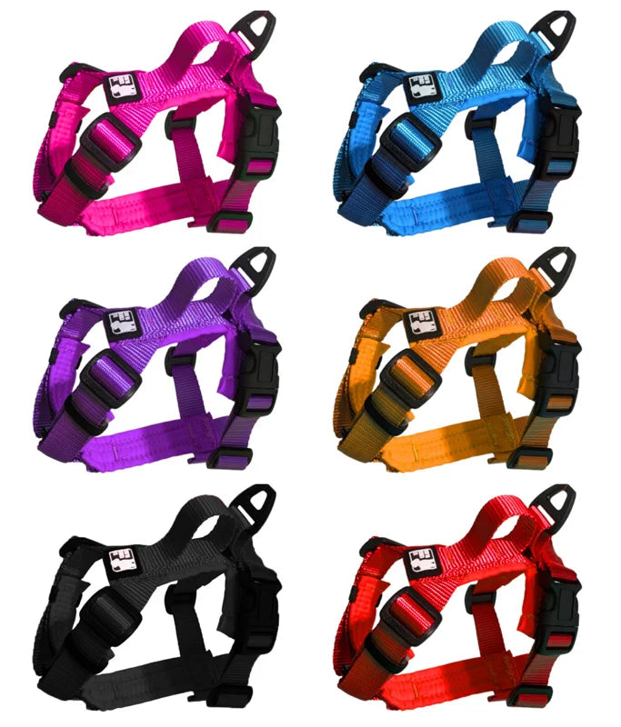 Harnais mini - Le chien blanc