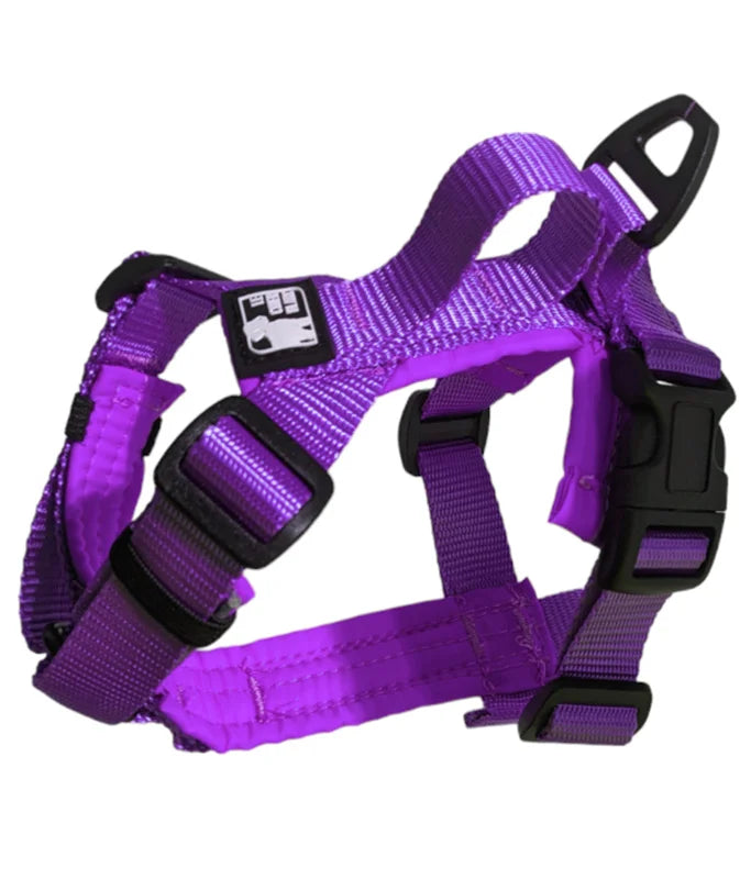 Harnais mini - Le chien blanc