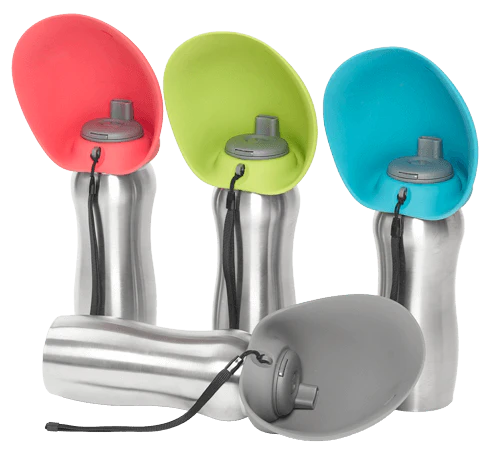 Bouteille d'eau en acier inoxidable - Messy Mutts