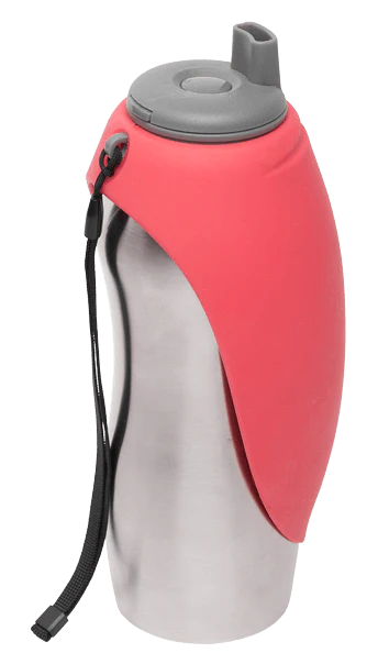 Bouteille d'eau en acier inoxidable - Messy Mutts