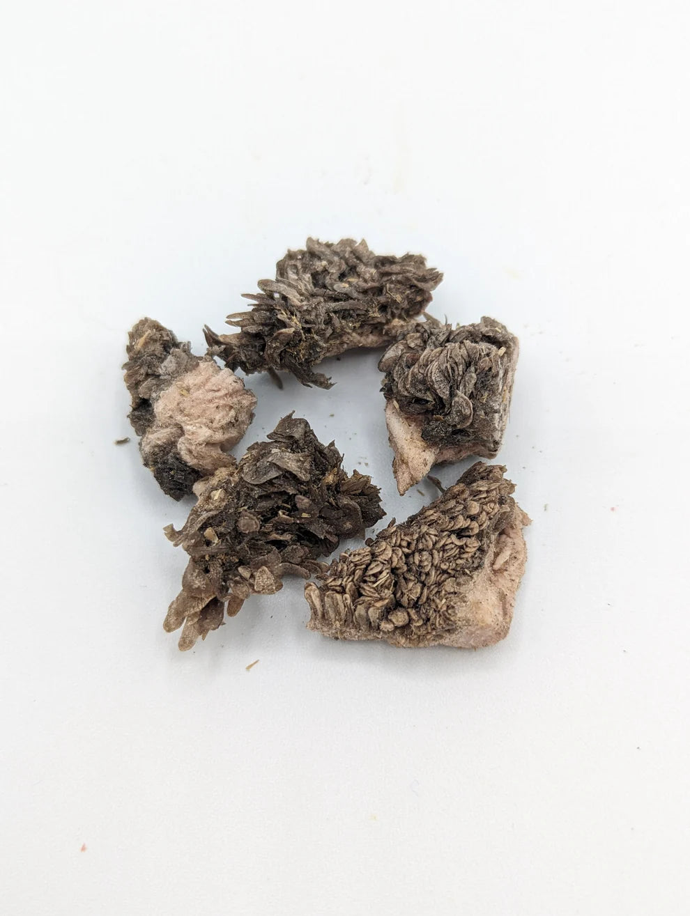 Tripe de bison lyophilisée - Sender Summit Snacks