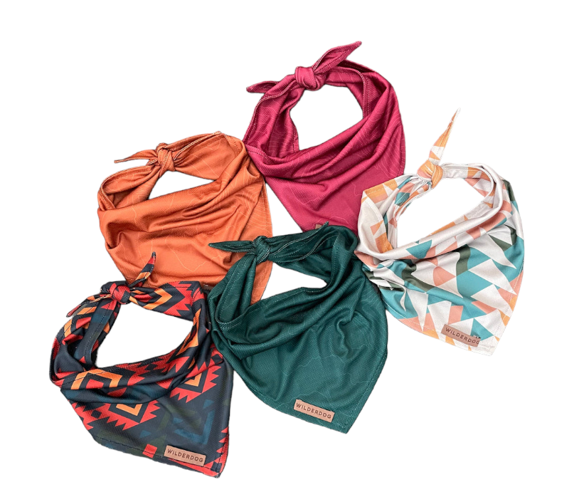 Bandana rafraîchissant - Wilder dog