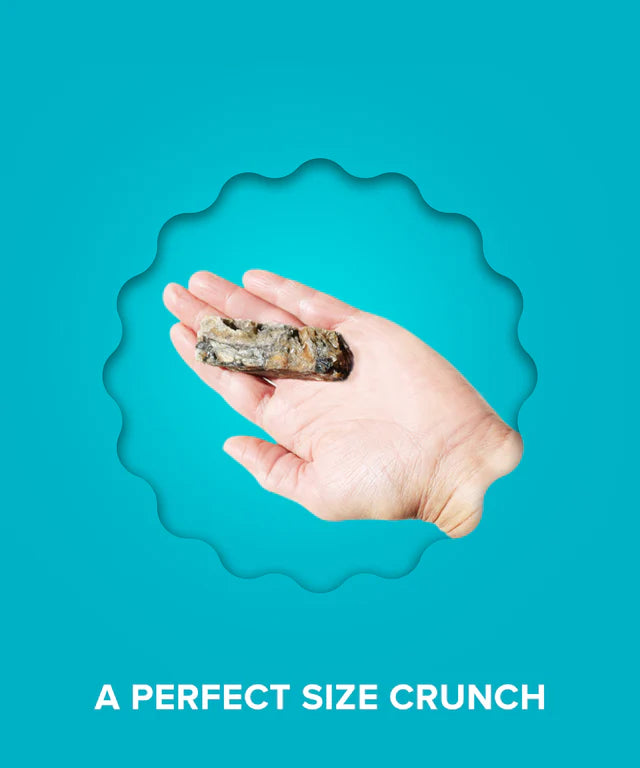 Morceau de morue en vrac (1) - Plato