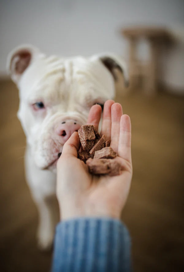 Bouchées de boeuf lyophilisés - Doggo Heart