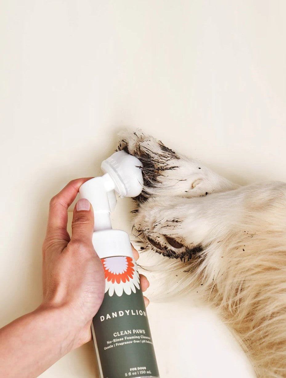 Nettoyant moussant sans rinçage pour les pattes