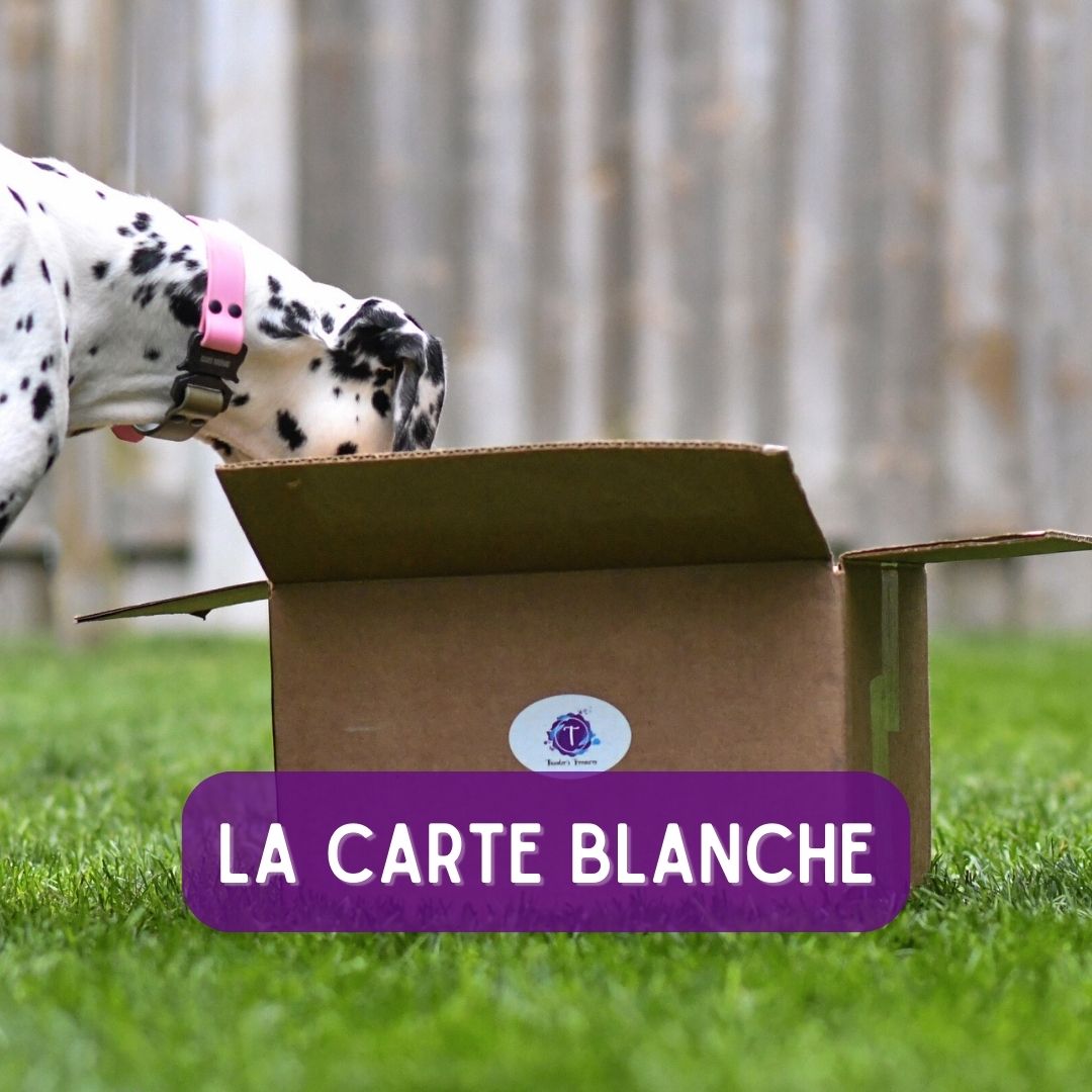 La boîte - CARTE BLANCHE 200$