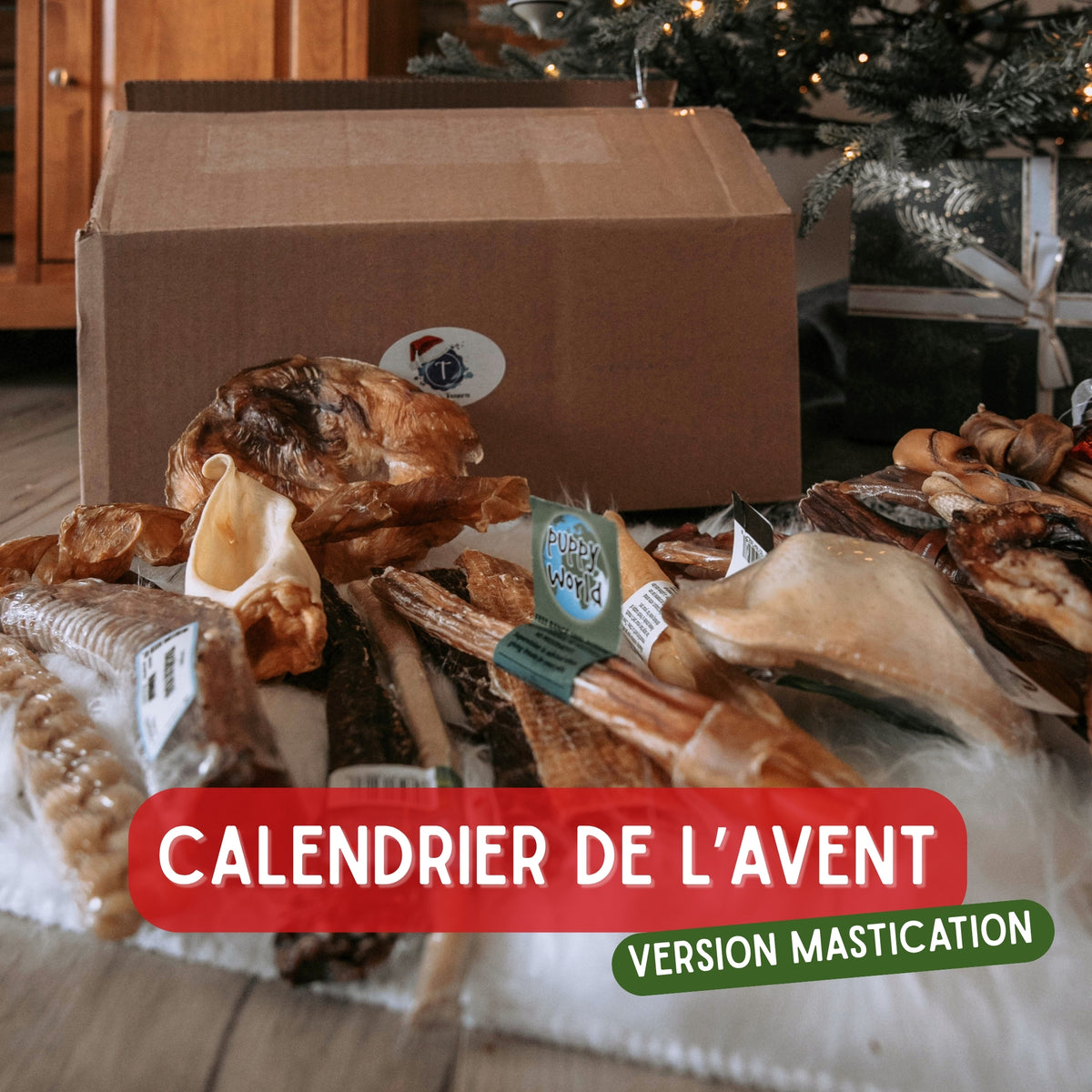 Mastication de L'avent (PRÉVENTE)