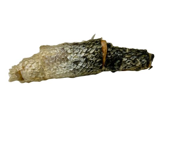 Peau de saumon lyophilisée - WaWWaw
