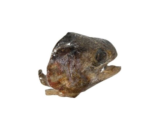 Tête de poisson lyophilisée - WaWWaw