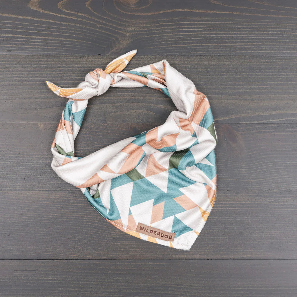 Bandana rafraîchissant - Wilder dog