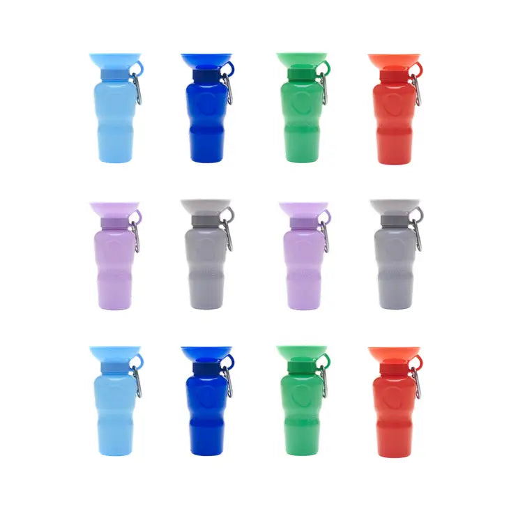 Bouteille d'eau Springer