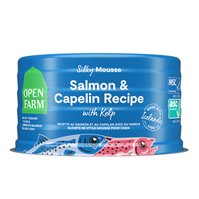 Recette en canne style mousse au saumon et capelan - Open Farm