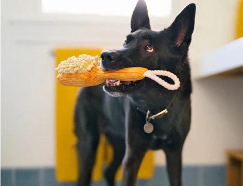 Peluche brosse Splish Splash - P.L.A.Y