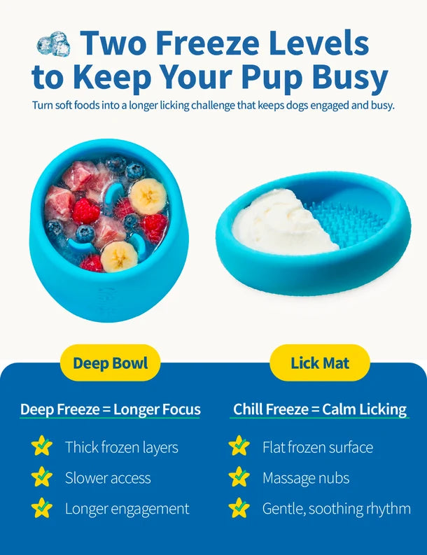 Freeze Bowl 2-en-1 - Chewise