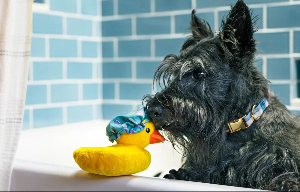 Peluche petit canard - P.L.A.Y