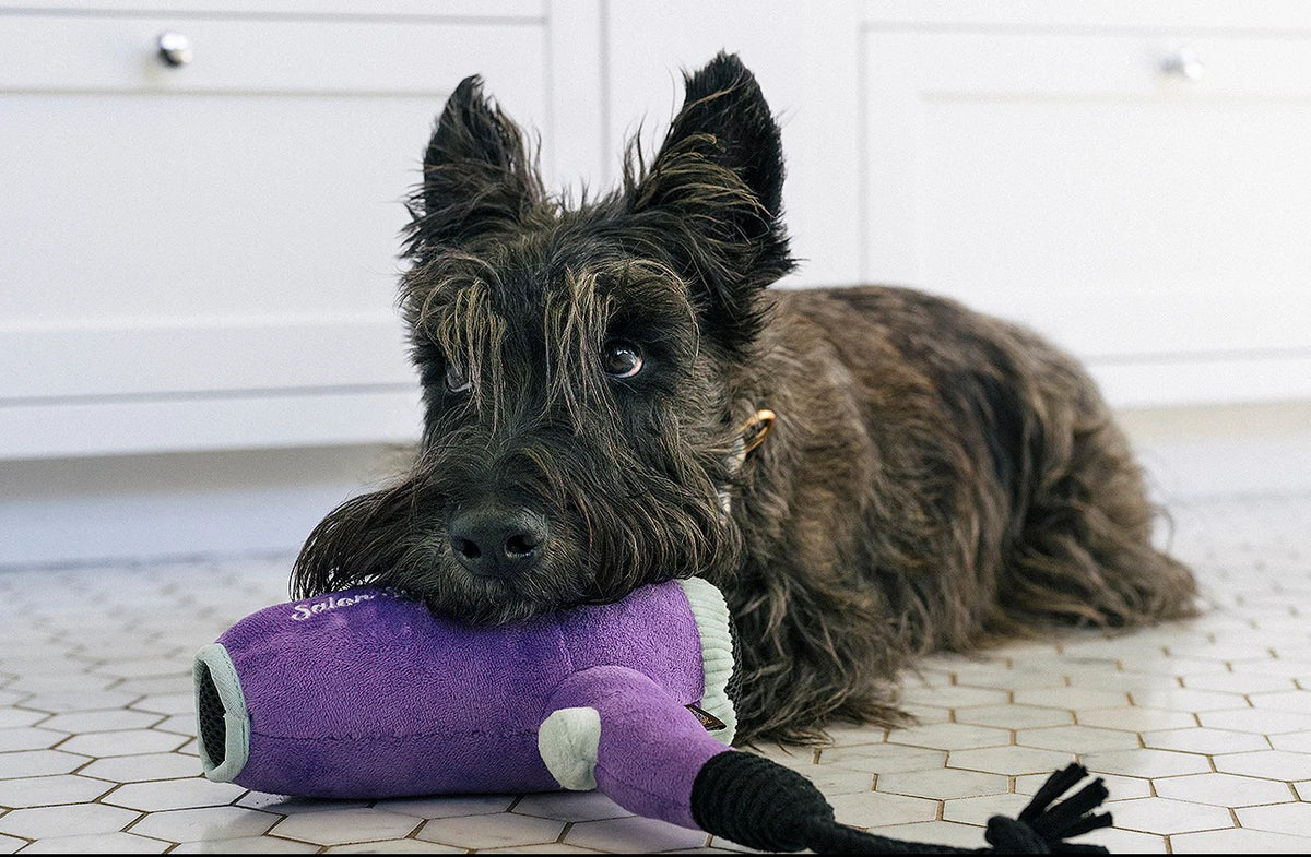 Peluche Sechoir - P.L.A.Y