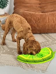 Tapis de fouille zesty lime - PawzNdogz