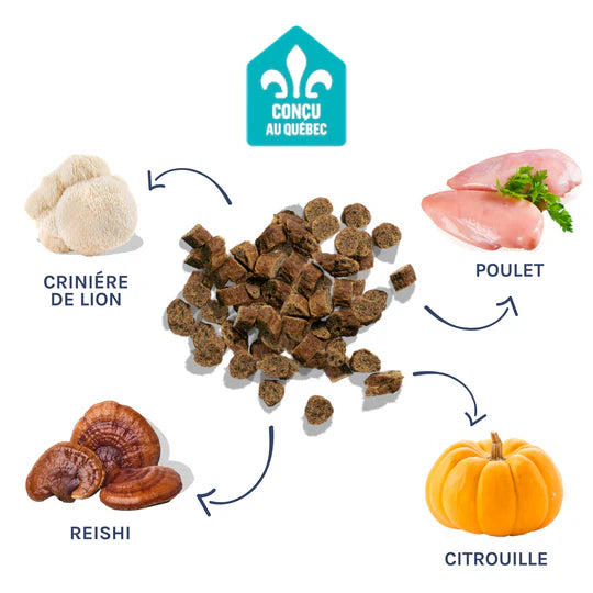 Mini gâterie d'entraînement au poulet - Healthybud