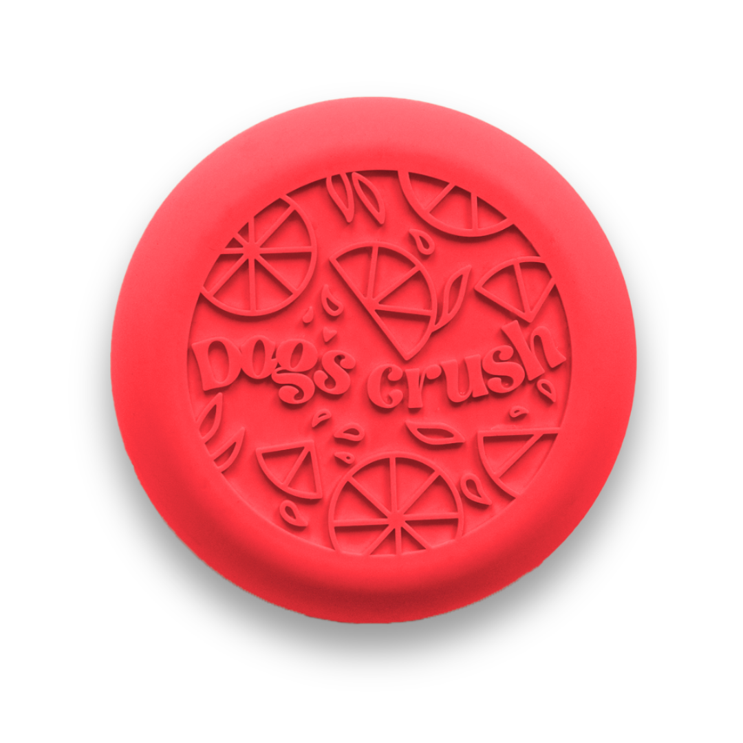 Bol interactif Dog's Crush - Agrumes