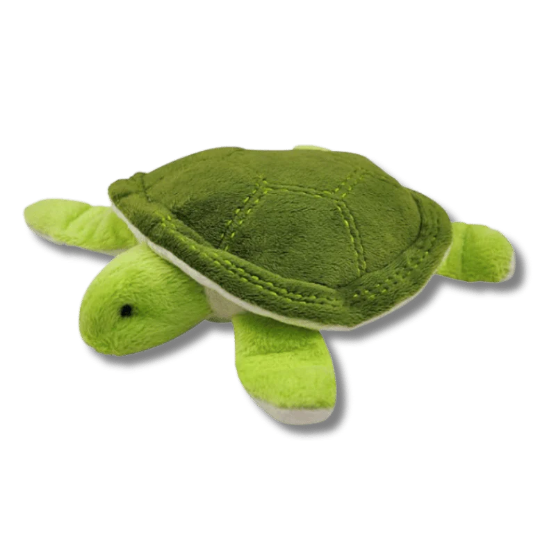 Peluche tortue - P.L.A.Y