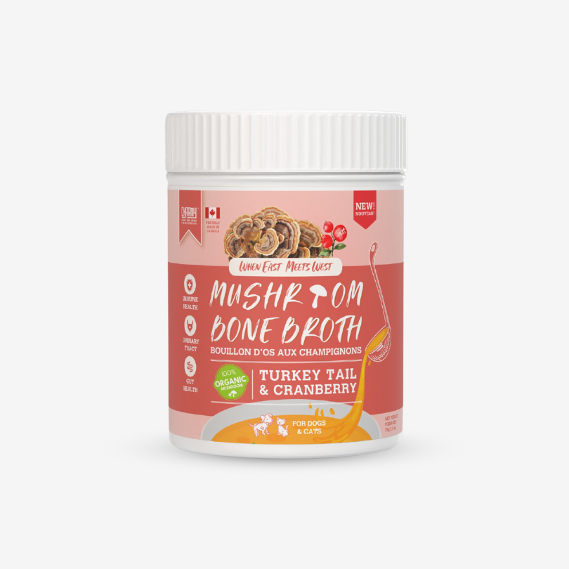 Bouillon d'os en poudre aux champignons queue de dinde et canneberge