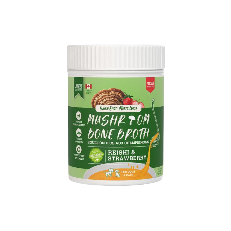 Bouillon d'os en poudre aux champignons Reishi et fraise - Charmy