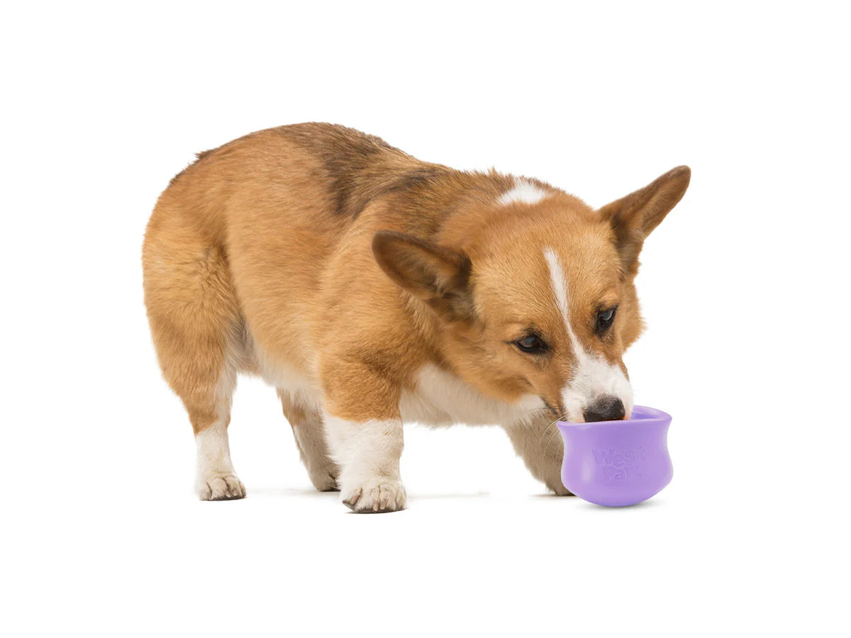 Toppl Lavande ÉDITION LIMITÉE - West Paw